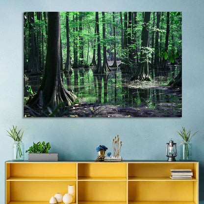 Congaree Swamp Reflection Wall Art