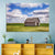 Old Shed in Farm Field Wall Art