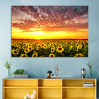Golden Hour Sunflower Field Wall Art