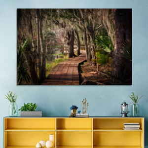 Louisiana Swamp Boardwalk Wall Art