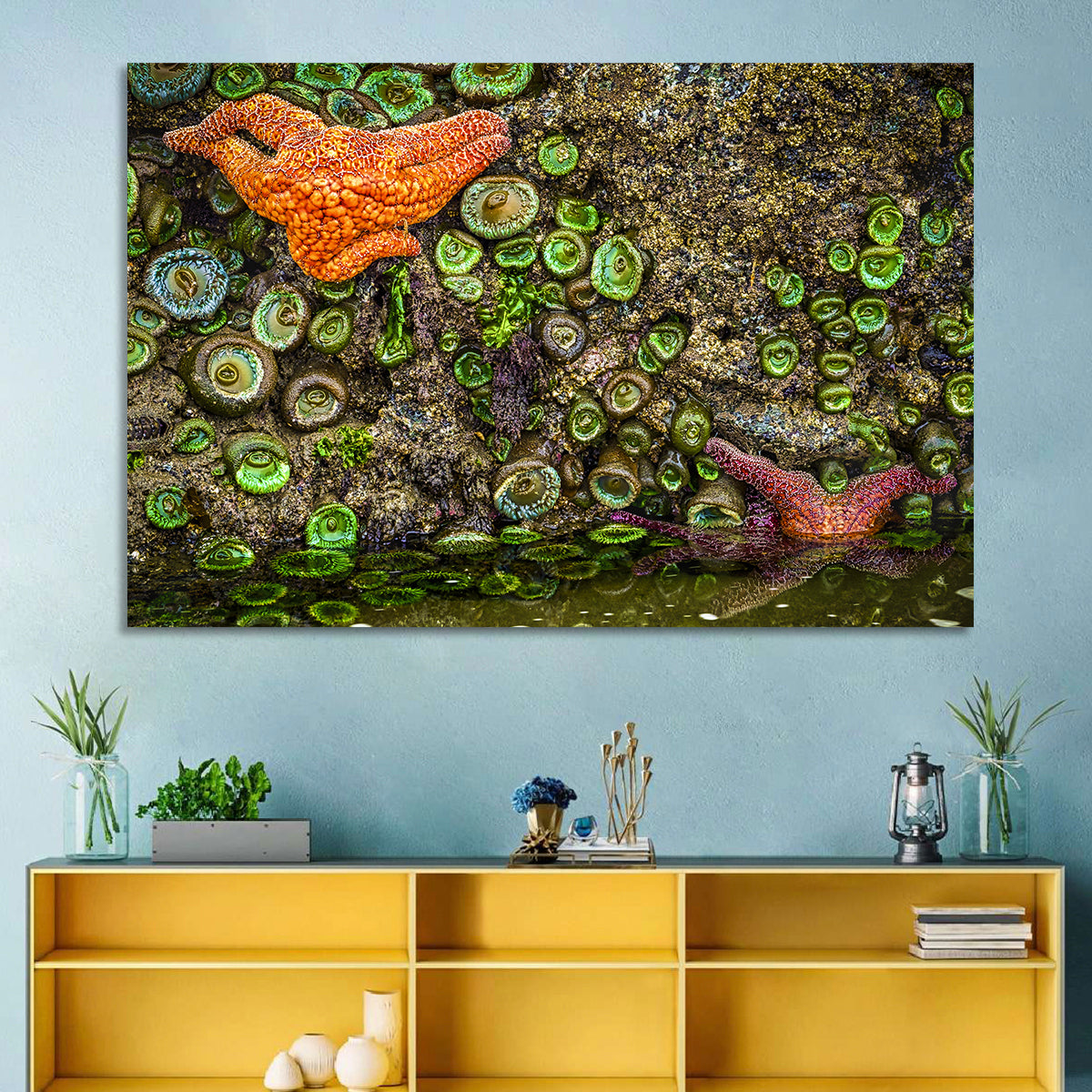 Orange Starfish Tide Pool Wall Art in a room, landscape