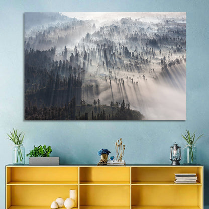 Misty Forest Sunrise Wall Art