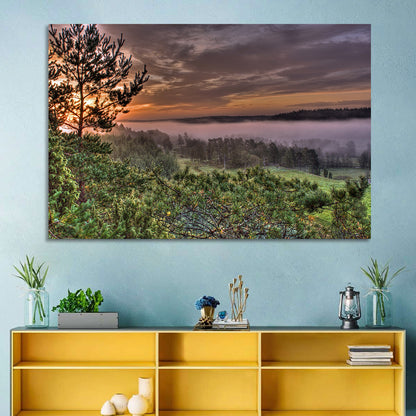 Misty Swedish Pine Valley Wall Art