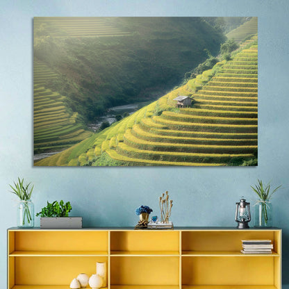Golden Rice Terraces Wall Art