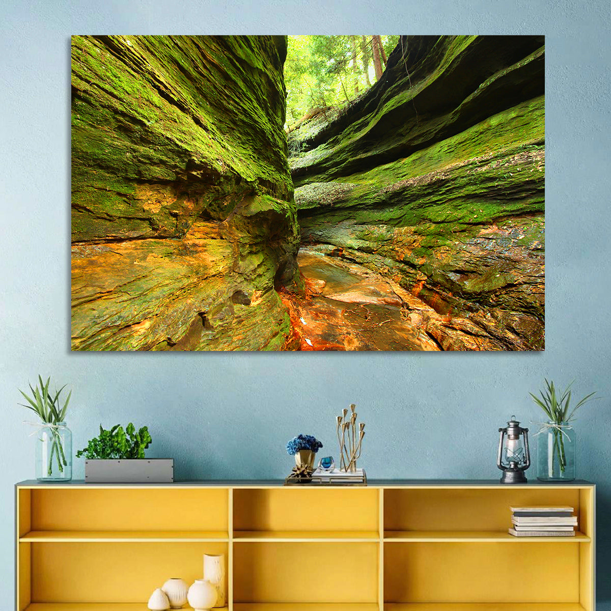 Turkey Run State Park Canyon Wall Art