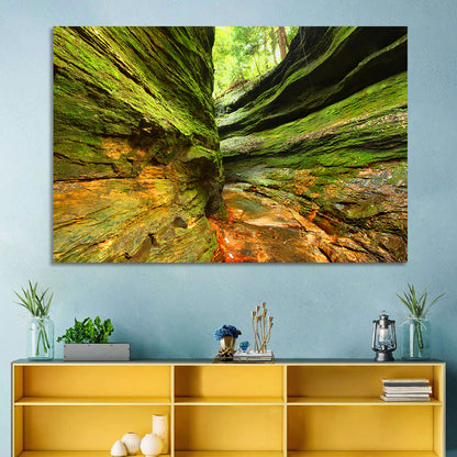 Turkey Run State Park Canyon Wall Art