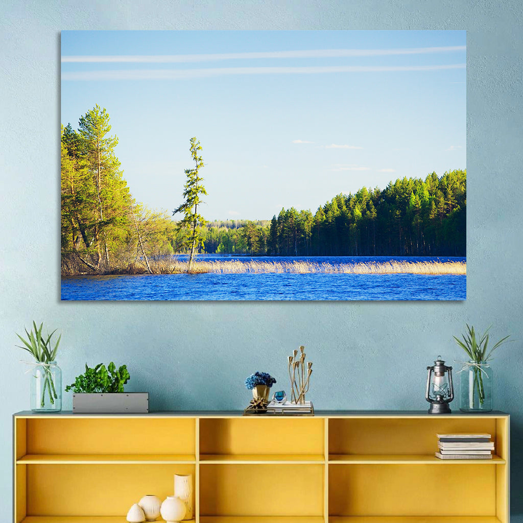 Summer Forest Lake Shoreline Wall Art