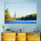 Summer Forest Lake Shoreline Wall Art