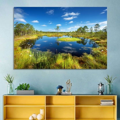 Viru Bogs Reflections Wall Art