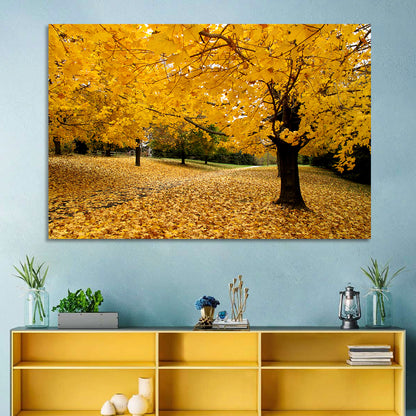 Baltimore Autumn Foliage Wall Art