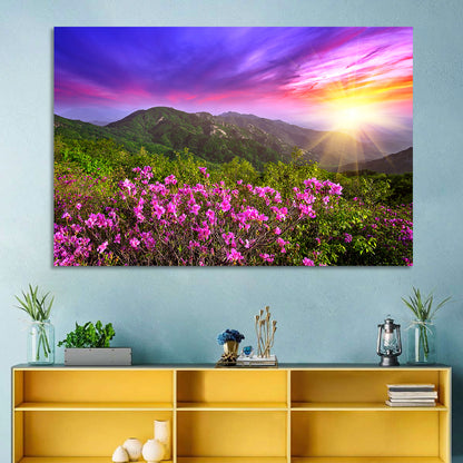 Hwangmaesan Mountain Sunset Wall Art