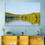 Sebago Lake Wall Art