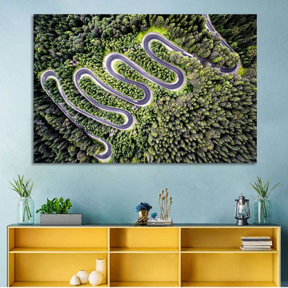 Serpentine Mountain Road Wall Art