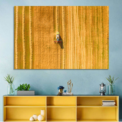 Aerial Wheat Harvest Wall Art