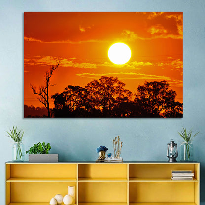 Burning Sun Over Tree Silhouettes Wall Art