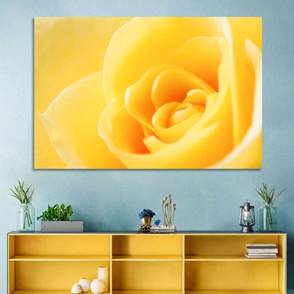 Soft-lit Yellow Rose Close-up Wall Art