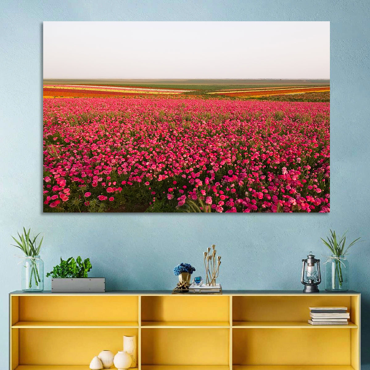 Pink Ranunculus Flower Field Wall Art in a room, landscape