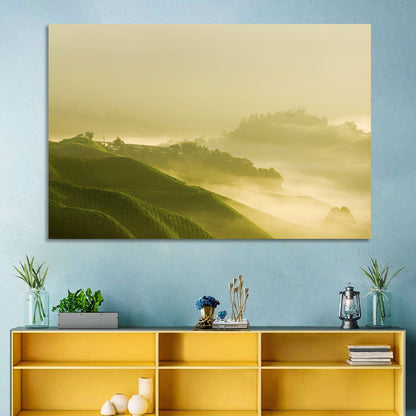 Tea Plantation Morning Mist Wall Art