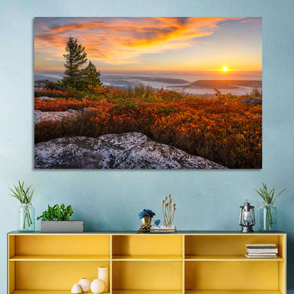 Sunrise Over Dolly Sods Wall Art