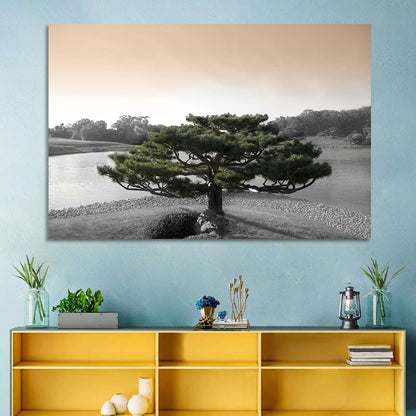 Bonsai Pine in Japanese Garden Wall Art