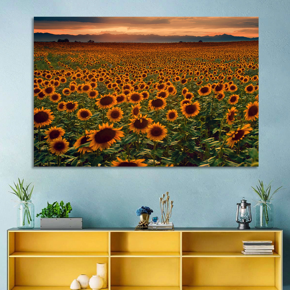 Colorado Sunflower Field at Sunset Wall Art in a room, landscape