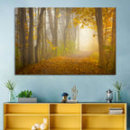 Cuyahoga Valley Autumn Path Wall Art