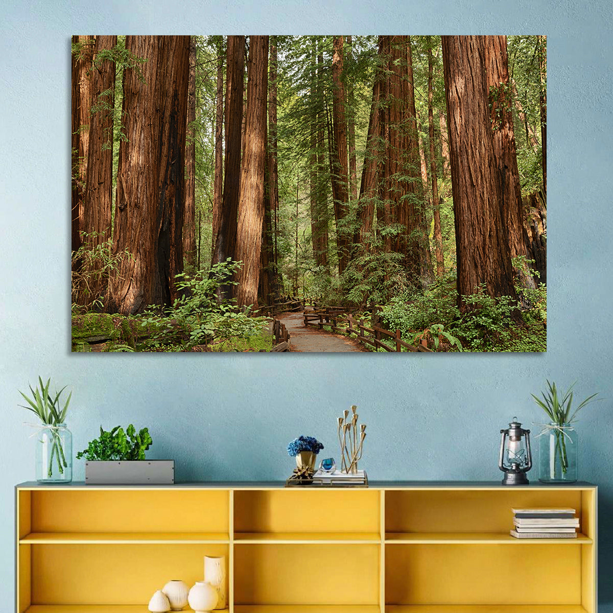 Muir Woods Redwood Trail Wall Art in a room, landscape