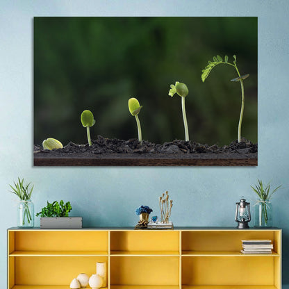 Five-stage Plant Growth Wall Art