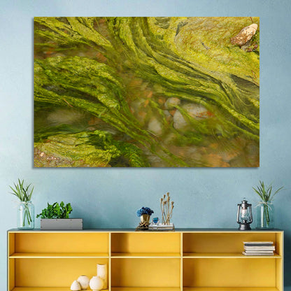 Macro Algae Stream Wall Art