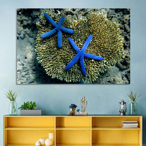 Blue Starfish Wall Art