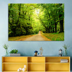 Sunlit Forest Pathway Wall Art