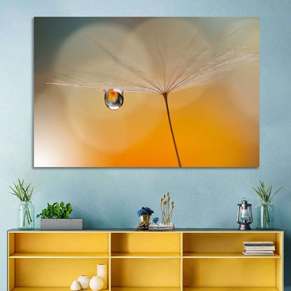 Dandelion Seed with Droplet Wall Art