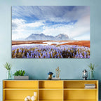 Lupine Fields at Vestrahorn Wall Art
