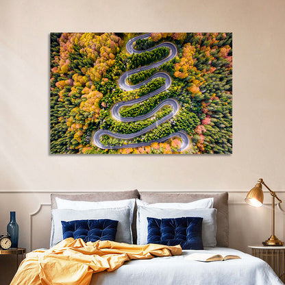 Winding Forest Road Wall Art