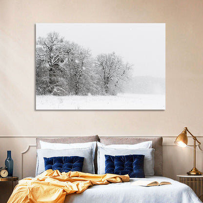 Snow-covered Trees in Fog Wall Art