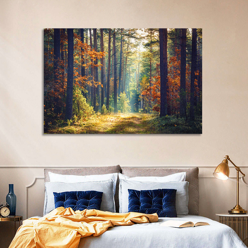 Sunlit Autumn Pine Forest Wall Art
