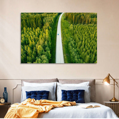 Blue Car on Forest Road Wall Art