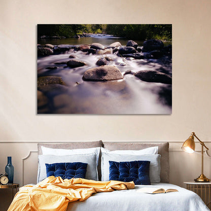 Truckee River Sunlit Rocks Wall Art