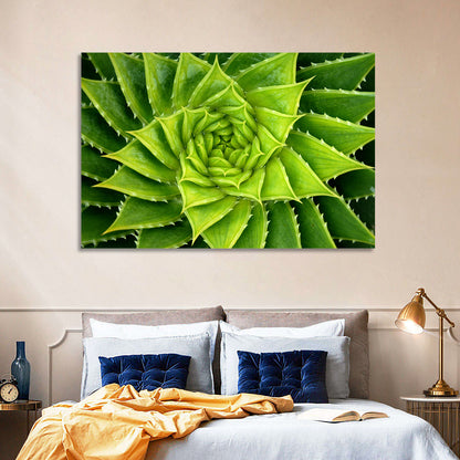 Spiral Aloe Wall Art