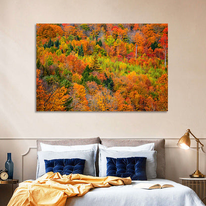 Vermont Autumn Mountain Forest Wall Art