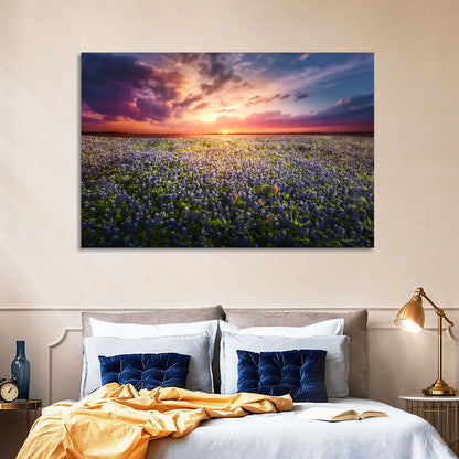 Texas Bluebonnet Sunset Wall Art