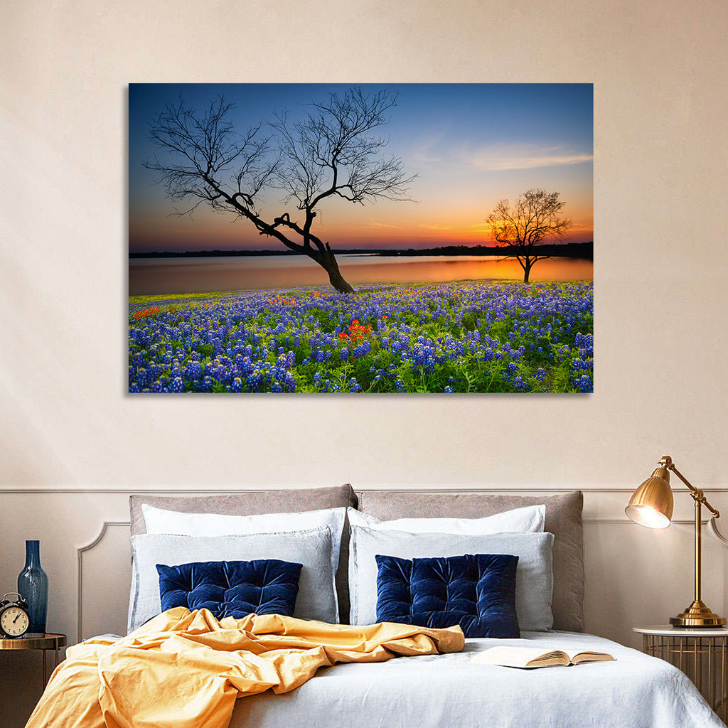 Texas Bluebonnet Sunset Wall Art