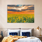 Golden Hour Sunflower Field Wall Art