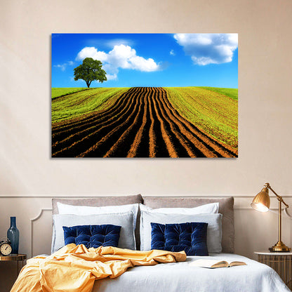 Plowed Field with Lone Tree Wall Art