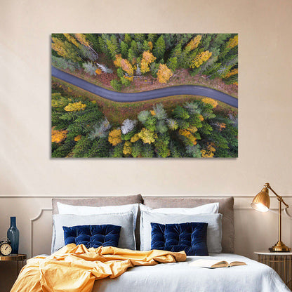 Aerial Autumn Forest Road Wall Art