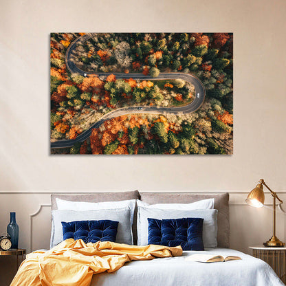 Aerial Winding Autumn Forest Road Wall Art