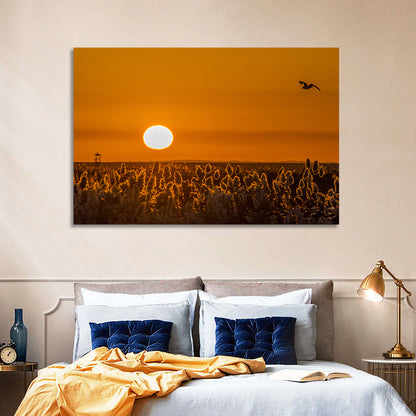 Golden Sunrise Over Reeds Wall Art