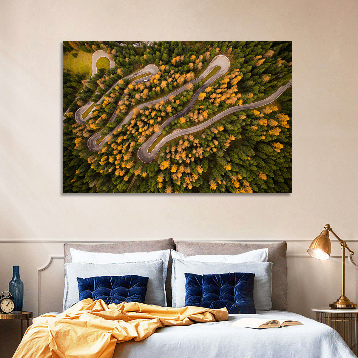 Aerial Curvy Forest Road Wall Art