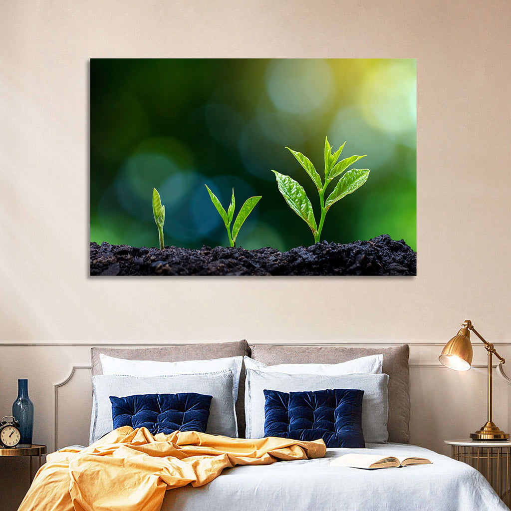 Seedling Growth Stages Wall Art