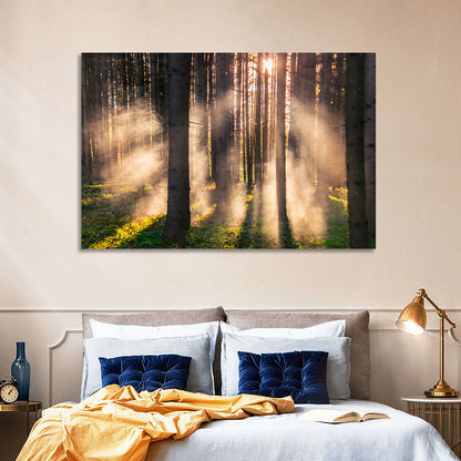 Misty Forest Sunrise Wall Art